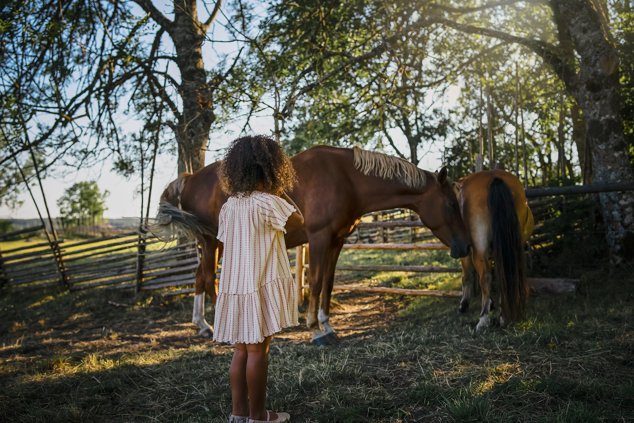 Familjefotografering-Barnfotografering-